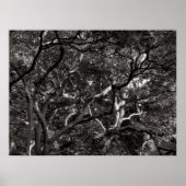 Poster Japanese Branches III (Devant)