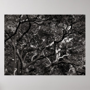 Poster Japanese Branches III