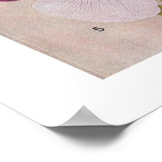  POSTER "JAPANESE IRIS" (Hoek)