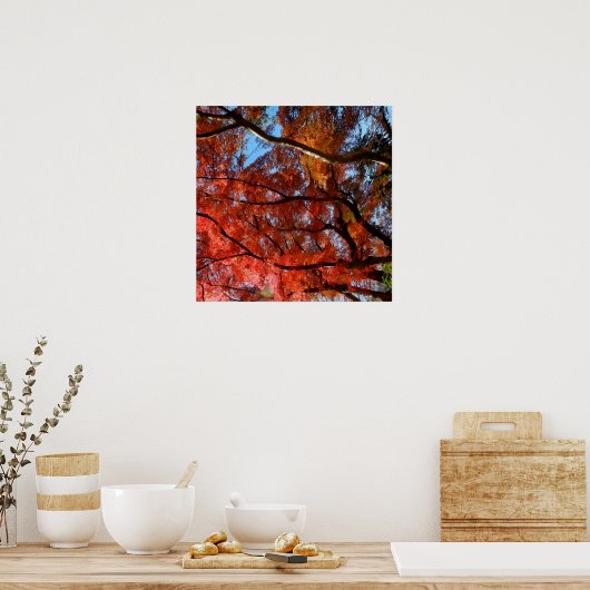 Poster Japanese Maple (Cuisine)