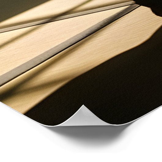 Poster Japanese Ninja Shadow Warrior (Coin)