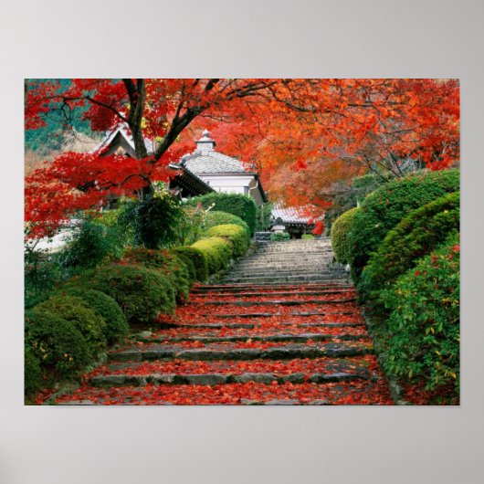 Poster Japon (Devant)