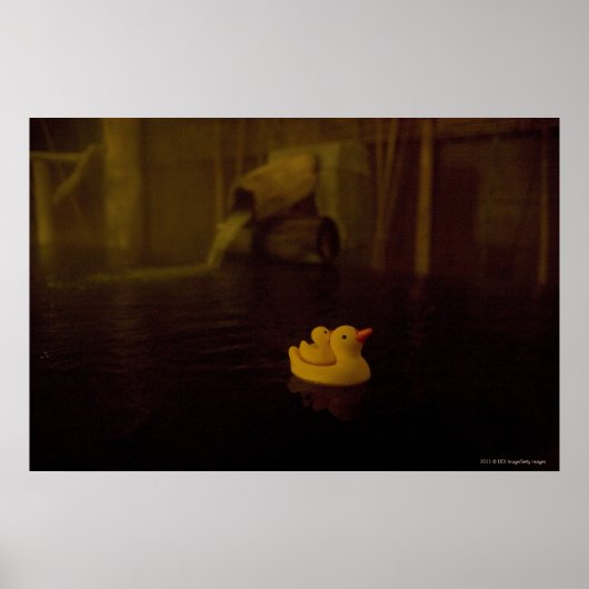 Poster Japon (Devant)