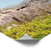 Poster Japon, Kyoto. Cerisier en pleurs sous ciel bleu (Coin)