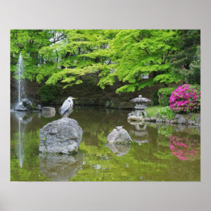 Poster Japon, Kyoto. Héron en feuilles verts frais