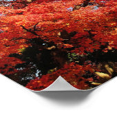 Poster Japon, Kyoto. Kiyomizu temple en couleur d'automne (Coin)