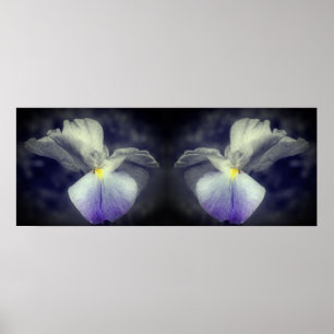 Poster Japonais Iris Flower Partial Color Mirror Abstrait