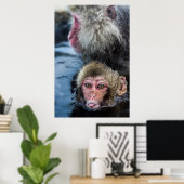 Poster Japonais Macaque Baby (Bureau à domicile)