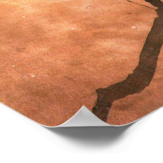 Poster japonais Raven (Coin)