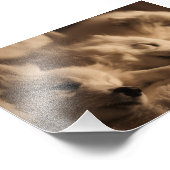 Poster japonais Spitz / American Eskimo (Coin)