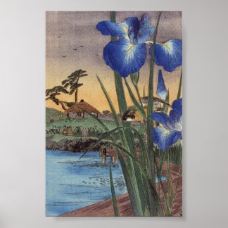 Poster Japonais vintage ukiyo-e iris bleu