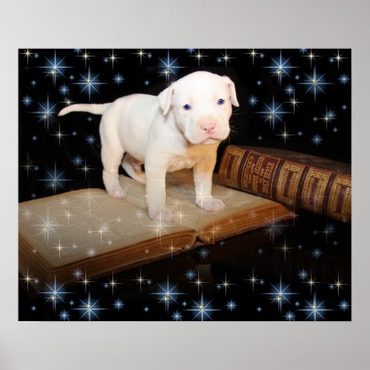 Poster J'apprends à lire la Bible (Devant)