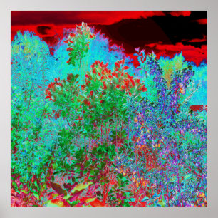 Poster Jardin Abstrait coloré avec coucher de soleil de C