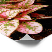 Poster Jardin autonome (Coin)