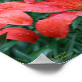 Poster Jardin aux fleurs d'Orange (Coin)