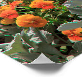 Poster Jardin aux fleurs ensoleillées (Coin)