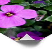 Poster Jardin aux fleurs violettes (Coin)