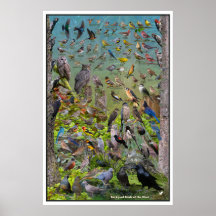 Jardin Birds of the West Special Edition