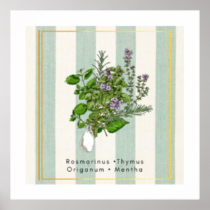 Poster Jardin Botanique d'Herbes - Mélange de Cuisine à l