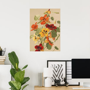 Poster Jardin Botanique Floral de Capucine Rétro