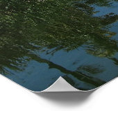 Poster Jardin botanique tropical Fairchild (Coin)