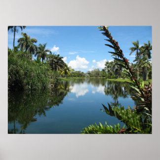 Poster Jardin botanique tropical Fairchild