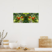 Poster Jardin Cherry Tomates Miroir Abstrait (Cuisine)