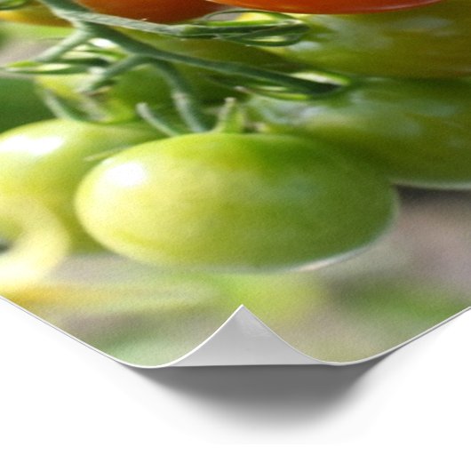Poster Jardin Cherry Tomates Miroir Abstrait (Coin)