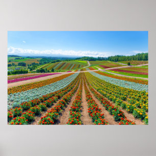 Poster Jardin d'agrément Shikisai aucune ferme de fleur