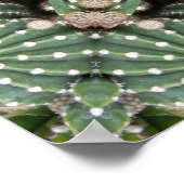Poster Jardin de Cactus (Coin)