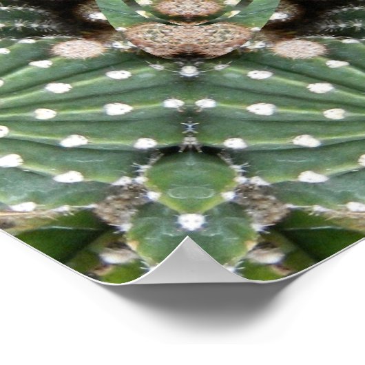 Poster Jardin de Cactus (Coin)