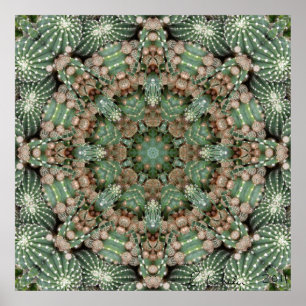 Poster Jardin de Cactus