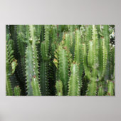 Poster Jardin de Cactus (Devant)