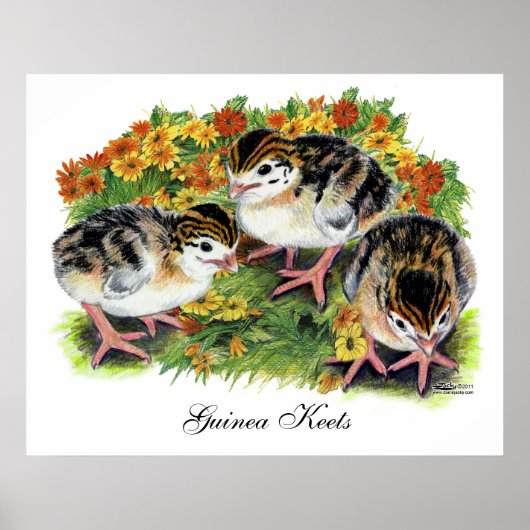 Poster Jardin de fleurs Keets (Devant)