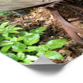 Poster Jardin de fleurs Rousty Vintage (Coin)