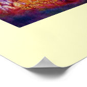 POSTER JARDIN DE LA POSTE D'OMBRES PERDUE (Coin)