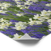 Poster Jardin de la Tulipe et de la jonquille, Jardins de (Coin)