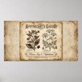 Poster Jardin de l'apothicaire Poison Belladone (Devant)