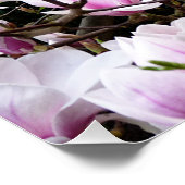 Poster Jardin de Magnolia (Coin)