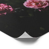 Poster Jardin de minuit, art floral foncé (Coin)