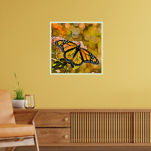 Poster Jardin de papillons monarques Art