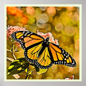 Poster Jardin de papillons monarques Art (Devant)