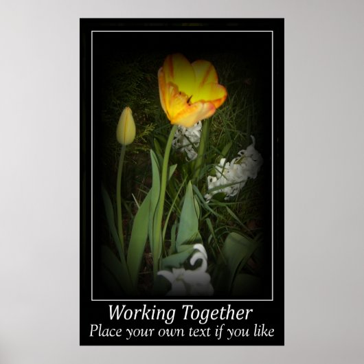 Poster Jardin de printemps de Tulipe travaillant ensemble (Devant)