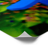 Poster Jardin de Sammamish, (Coin)