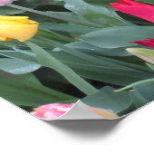 Poster Jardin de Tulip (Coin)