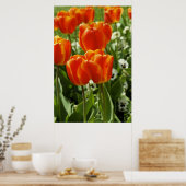 Poster Jardin de tulipes printanières (Cuisine)