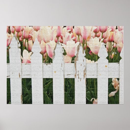 Poster Jardin de tulipes roses hollandaises (Devant)