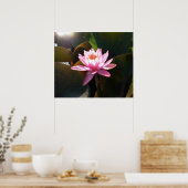 Poster Jardin d'eau rose rose Nénuphar éclairé (Cuisine)