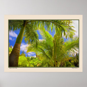 Poster Jardin d'Eden - Palmiers - Maui Hawaii