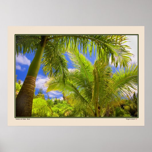 Poster Jardin d'Eden - Palmiers - Maui Hawaii (Devant)